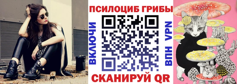 магазин    Бугульма  Галлюциногенные грибы мицелий 