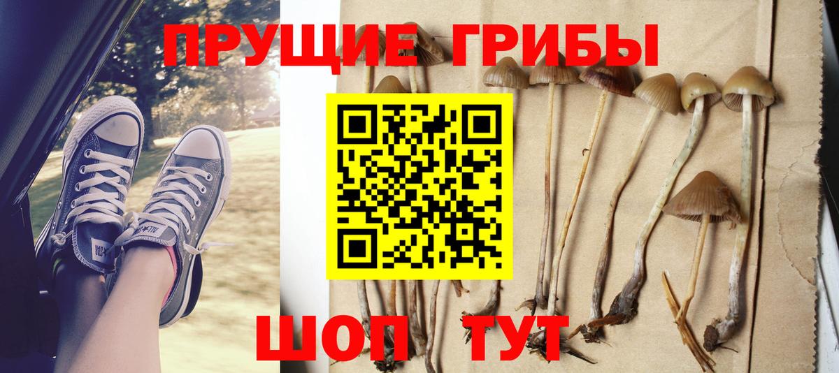 Бугульма  Галлюциногенные грибы мицелий  Вход с VPN 